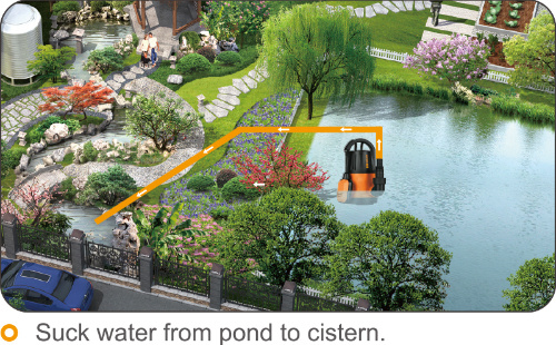 Electric Domestic Plastic Clean Water Submerged Pump with Big Flow for Garden Irrigation