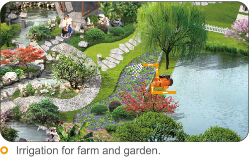 Peripheral Electric Water Pump Qb70 Agriculture in Good Quality with CE Certificate